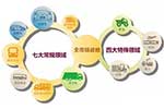 《十九大重新论断社会矛盾“新能源交通方案”助创美好生活》之二