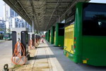山东:聊城市新能源公交占比全国领先