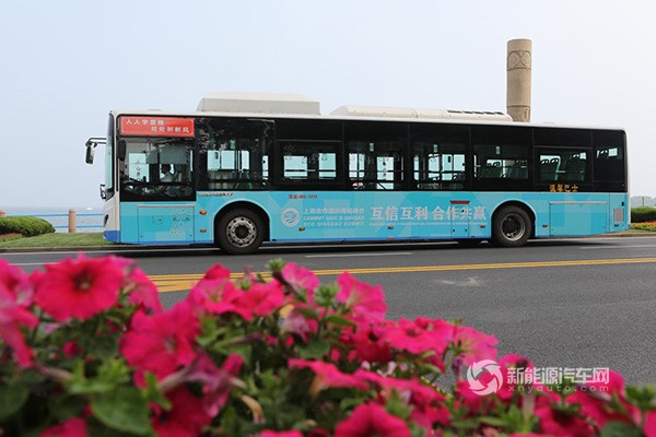 向世界展示绿色名片 比亚迪客车助力上合组织青岛峰会