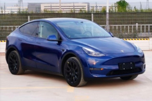 含MODEL Y/国产e-tron 工信部发布第12批新能源汽车推广目录