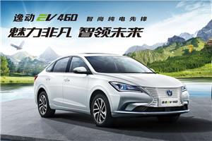 长安新能源 逸动EV 2019款 EV460 共享版