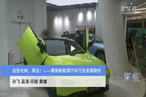 新能源车行业有点“飘”，得治!新华社近期发表了调查报告