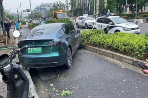 车内乘员情况还不得而知 上海一辆特斯拉Model 3撞倒路边大树