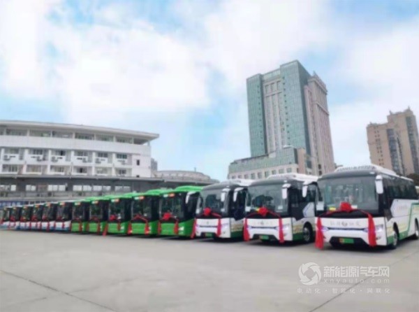 金旅新能源公交车