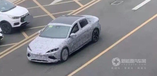 海豹