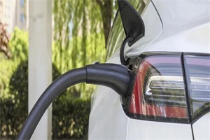 新能源汽车市场竞争力强劲 两会系列报道