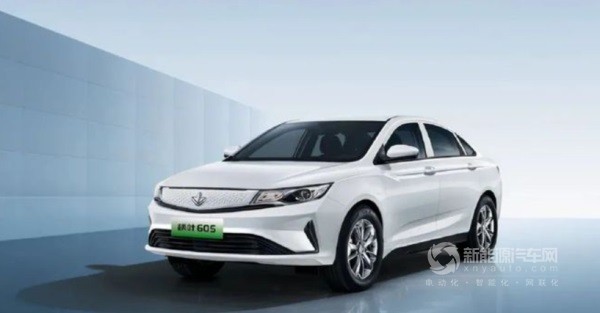 睿蓝汽车