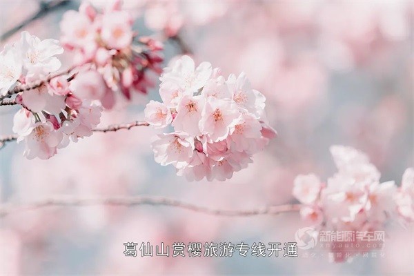宇通