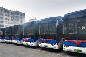 亚星客车正式上线陕西宝鸡 推进当地公交电动化发展