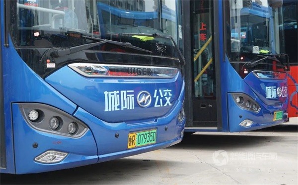 金龙蔚蓝公交