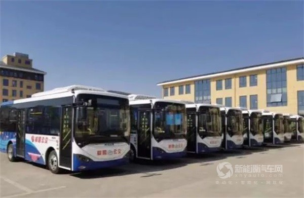 金龙蔚蓝公交