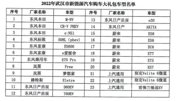 武汉市促进新能源汽车消费工作方案