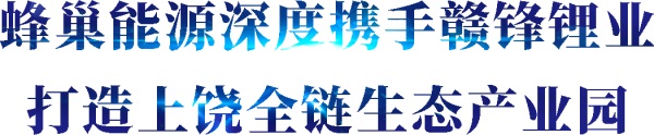 蜂巢能源