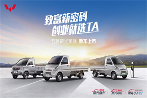 省事省心更省钱 五菱荣光微卡三车升级上市