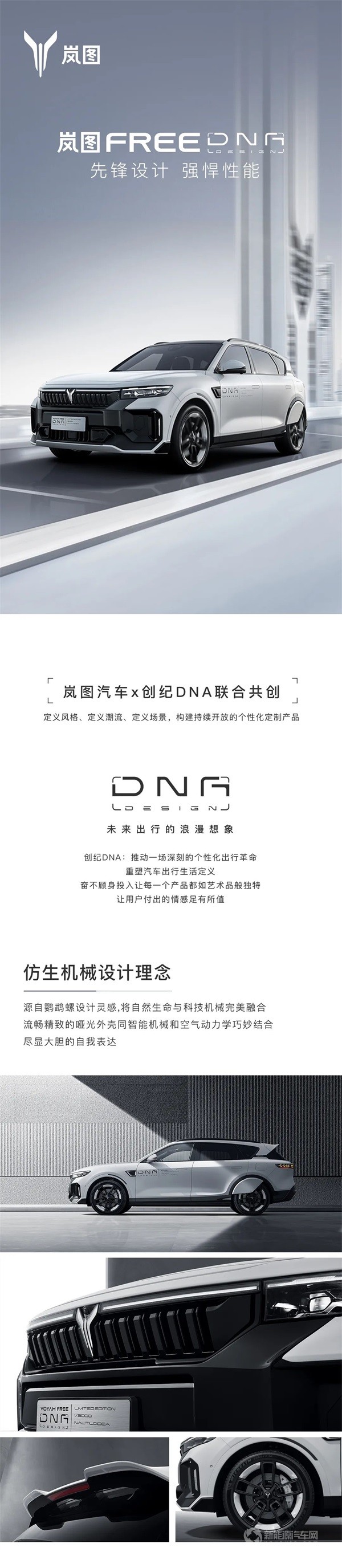 岚图FREE DNA
