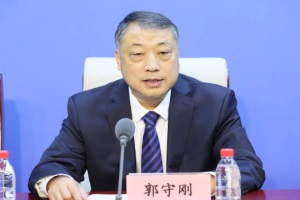 工信部郭守刚：组织好新能源汽车下乡活动