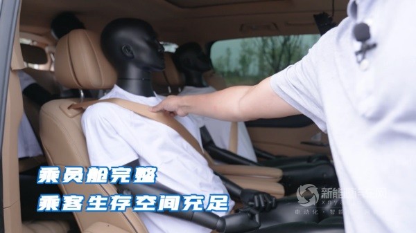 岚图梦想家
