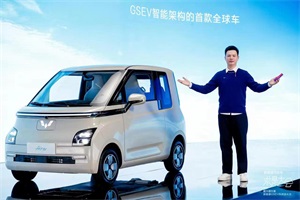 5年突破百万销量！GSEV科技进化日，五菱新能源又立了哪些flag？