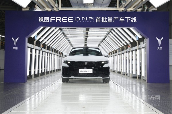 岚图FREE DNA