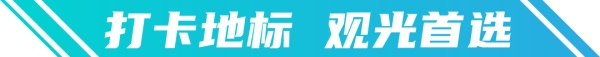 安凯