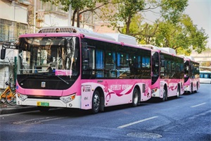 璀璨那一抹玫瑰红 星际新能源客车跃入湖州