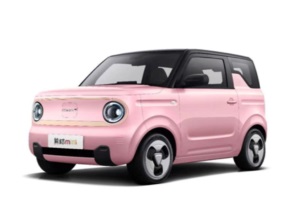 为新车交付提供保障 国轩电池3月份装车吉利熊猫超1.2万套