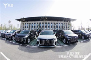 为出席明星提供出行服务 岚图成为首届楚文化节指定座驾