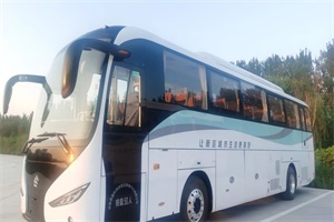 格力钛新能源深化交通运输与创意旅游融合发展 开创绿色旅游新模式