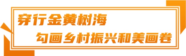 安凯E6纯电动客车