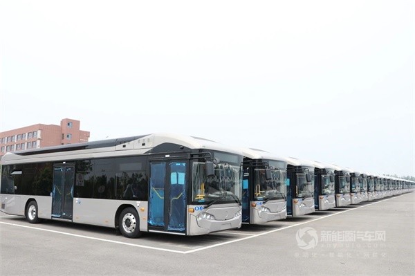 格力钛奔新能源马公交车