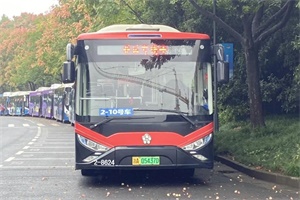 格力钛新能源巴士多场景守护杭城 为“绿色亚运”添彩!