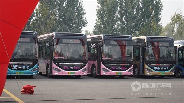 苏州金龙