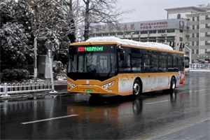 格力钛新能源公交家族，在冬天如约而至!