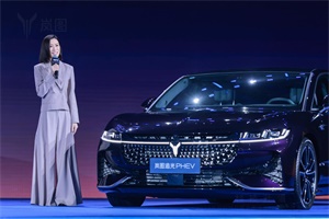 高知名人，为什么都喜欢选择岚图追光PHEV?