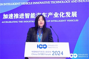 2024百人会|博世张颖：拥抱变革，智启未来