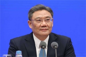商务部部长王文涛：中国电动车不是靠补贴取得优势
