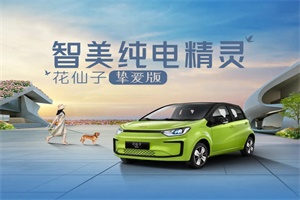 智美为你而来!纯电精灵花仙子挚爱版上市价格公布