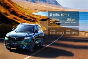 4.5s零百加速 岚图FREE 318上市限时售21.99万起