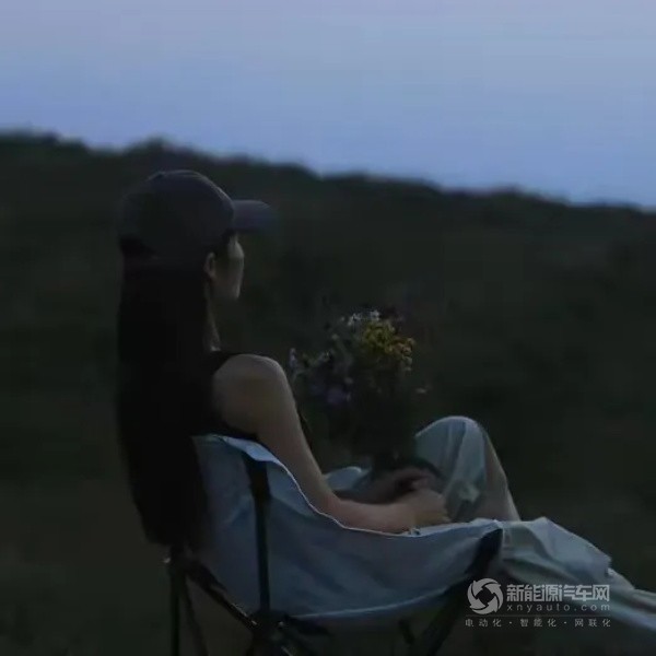 极狐