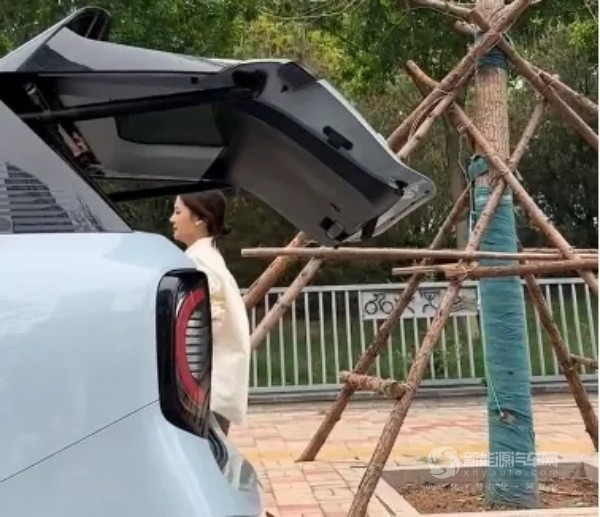 极狐