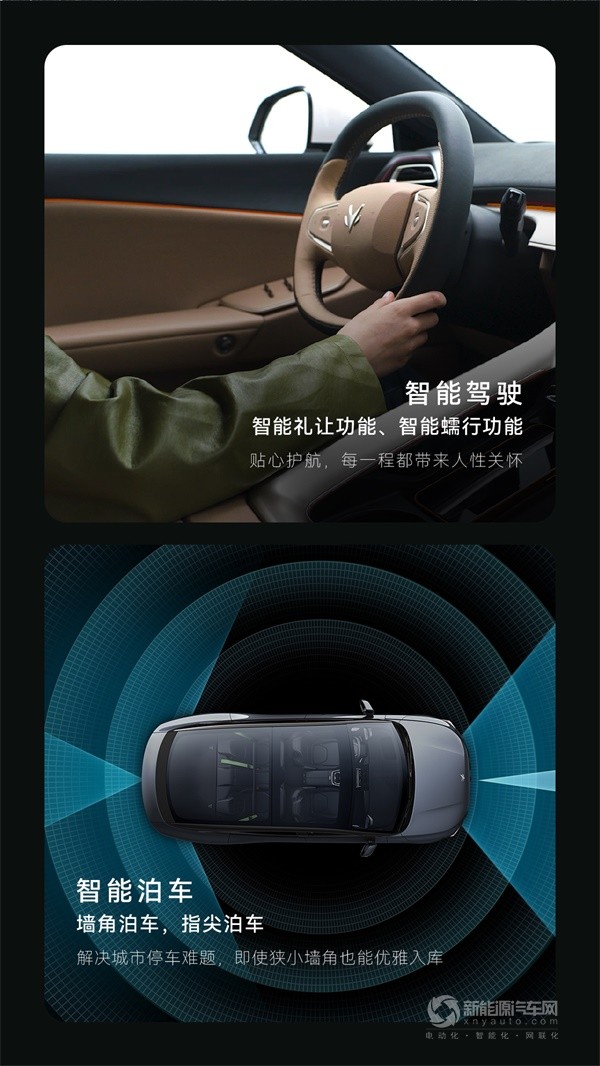 极狐