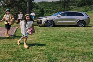 宽敞大六座!一图了解家庭豪华六座SUV——理想L8
