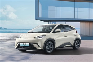 比亚迪海鸥荣获2024上半年纯电轿车+A00级车型冠军!