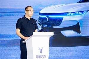 百折不挠、伙伴共进 岚图汽车召开2024生态伙伴年中大会