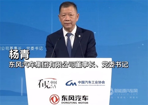 东风公司杨青