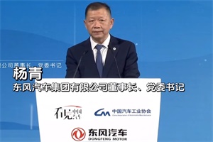 东风公司杨青：在推进汽车产业高质量发展中担当作为