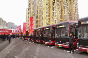 为城市再添新名片!中车电动1032辆“鲸典”客车批量交付大连