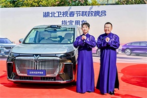 载梦荆楚 岚图汽车携手2025湖北卫视春晚共赴梦想之约