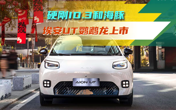硬刚ID.3和海豚，埃安UT鹦鹉龙居然6.98万起