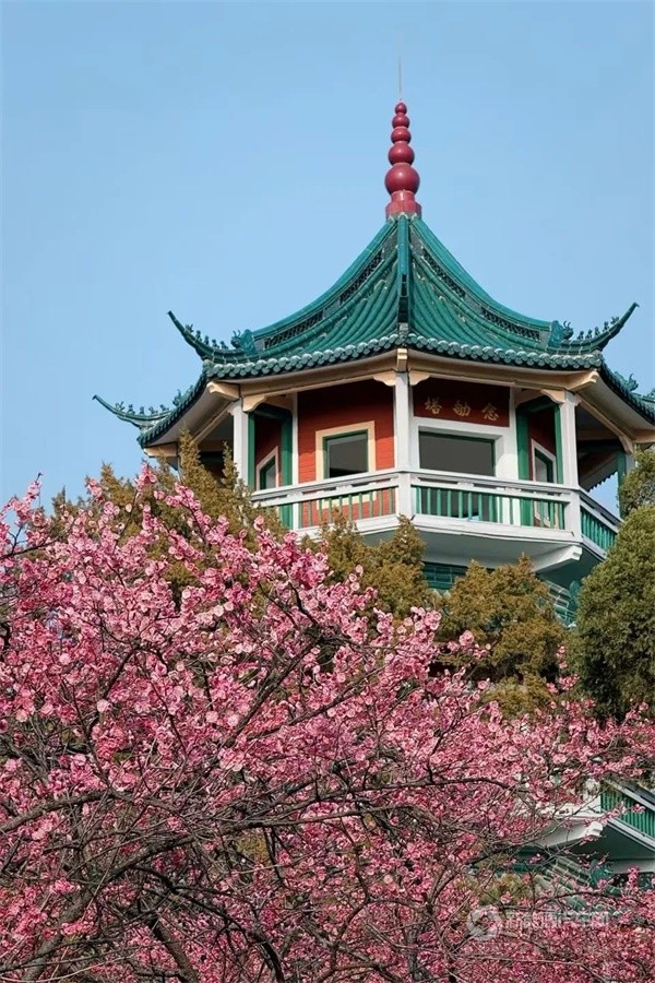中车电动